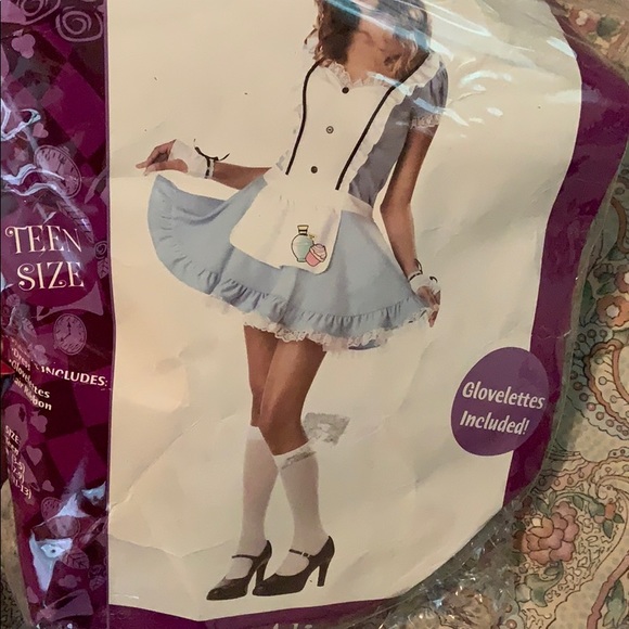 California Costumes Other - ALICE IN WONDERLAND ALICE COSTUME California Costumes Other - ALICE IN WONDERLAND ALICE COSTUME